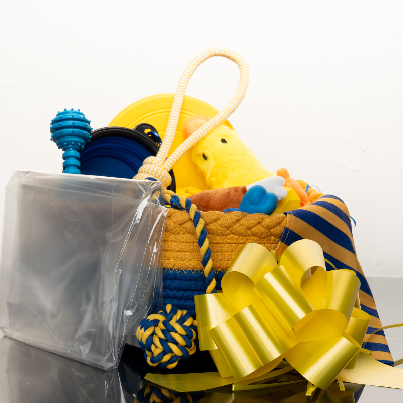 Barkday Basket Surprise