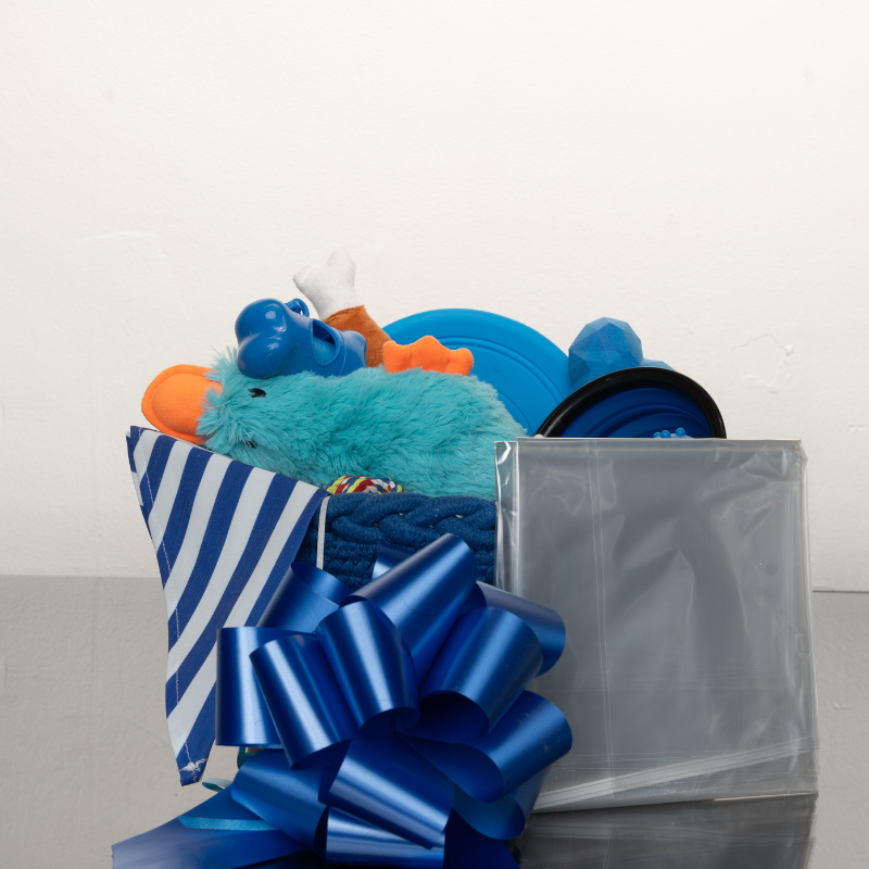 Barkday Basket Surprise