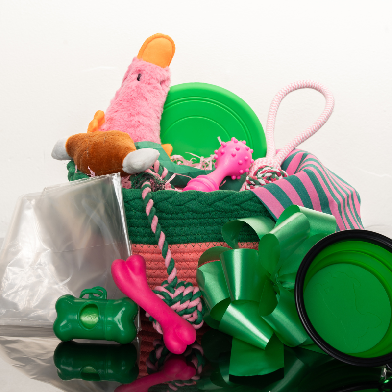 Barkday Basket Surprise