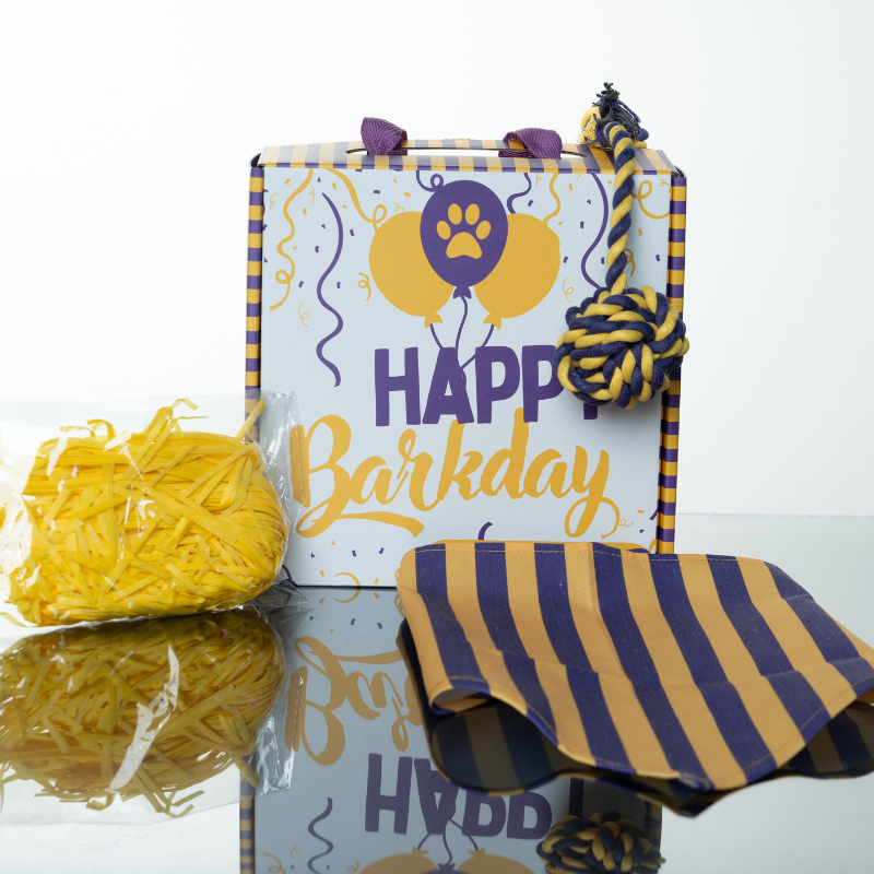 Barkday Box Mini Sets